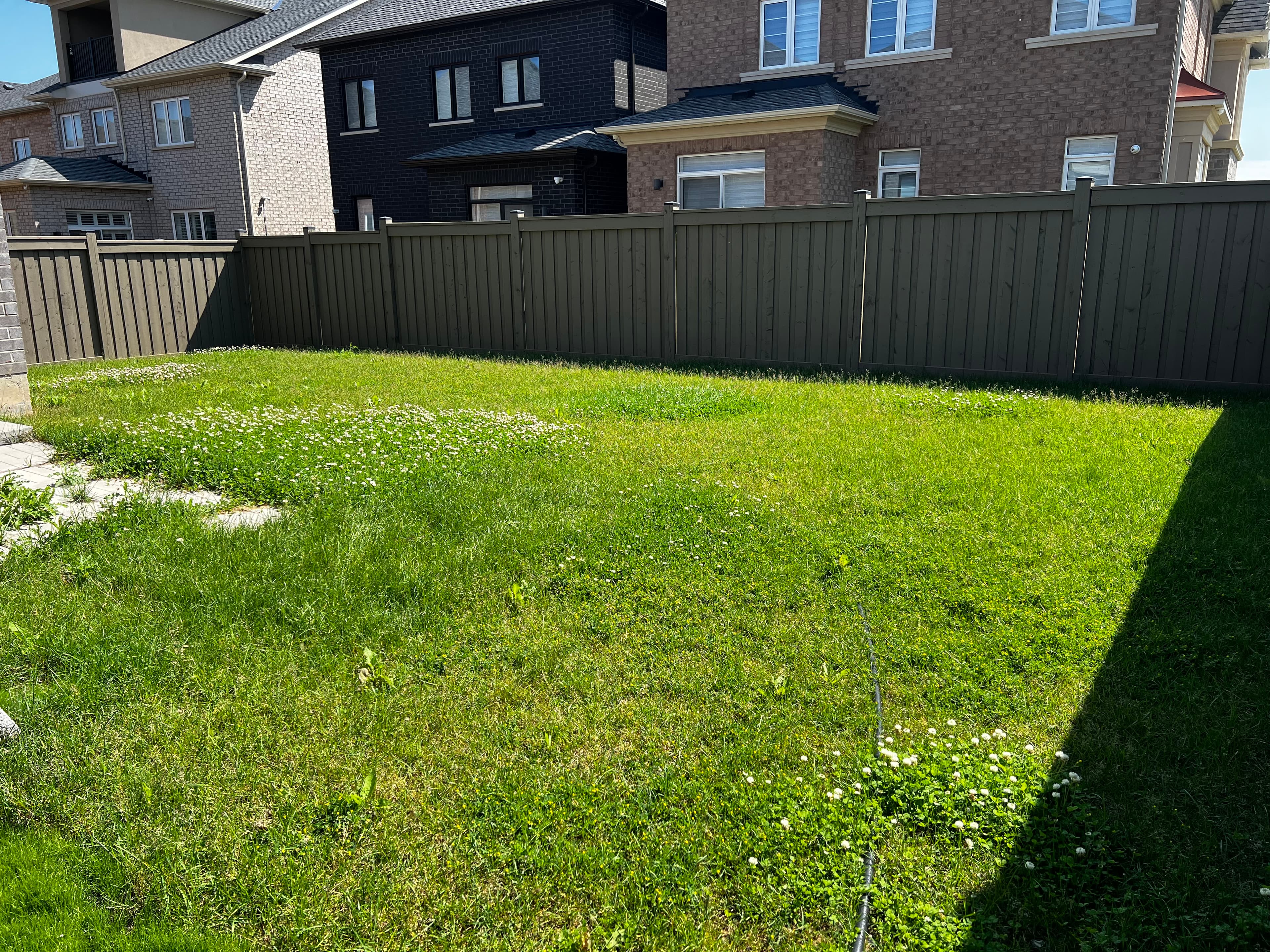Top 5 Signs Your Lawn Needs Professional Help
